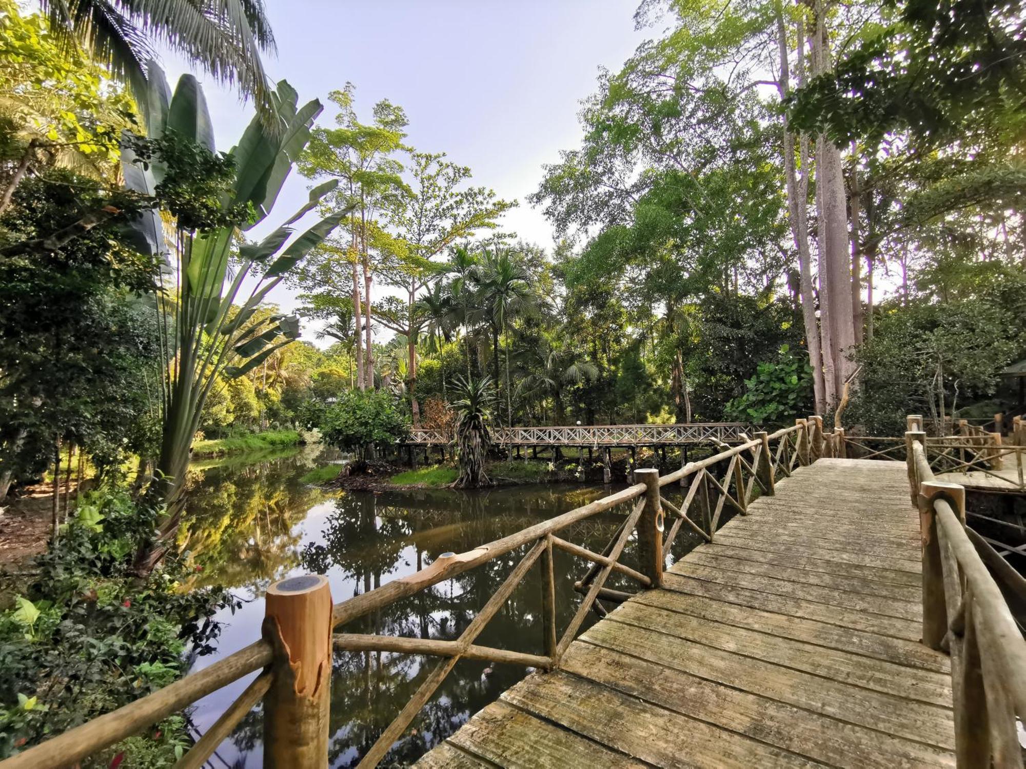 Sepilok Jungle Resort Exterior foto